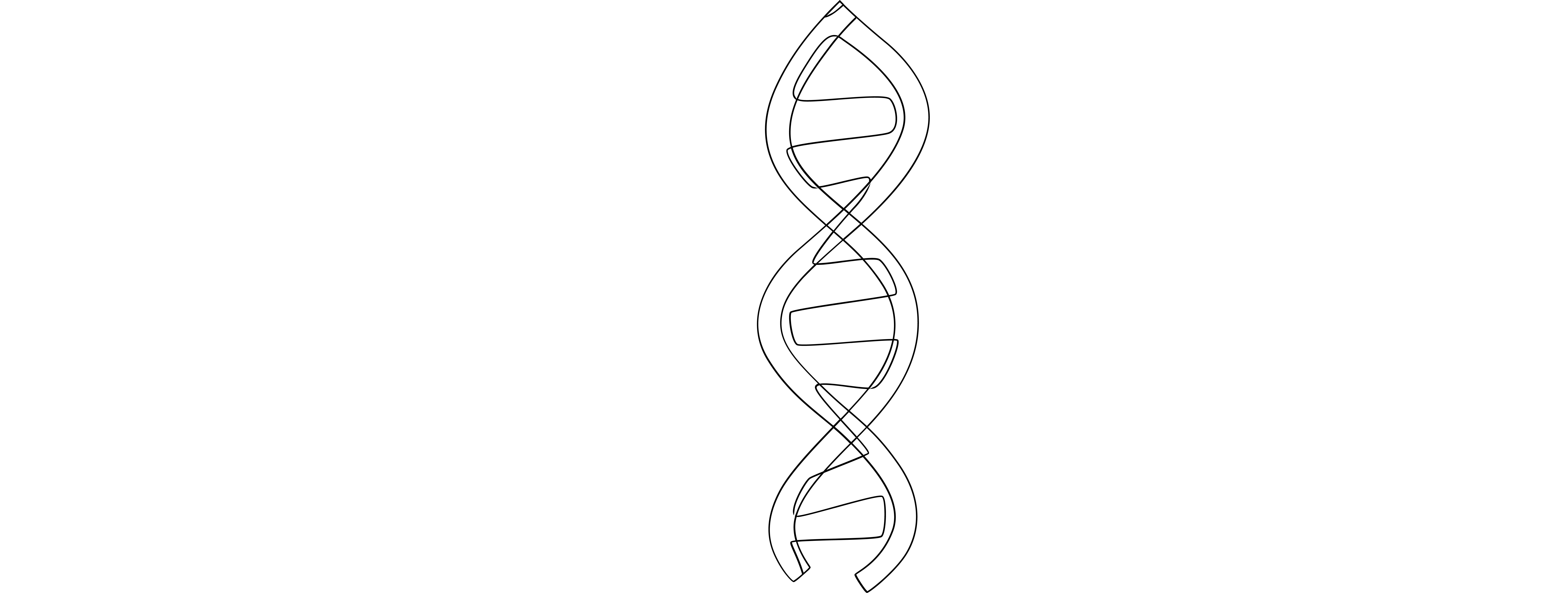 NeuroPi Illustration